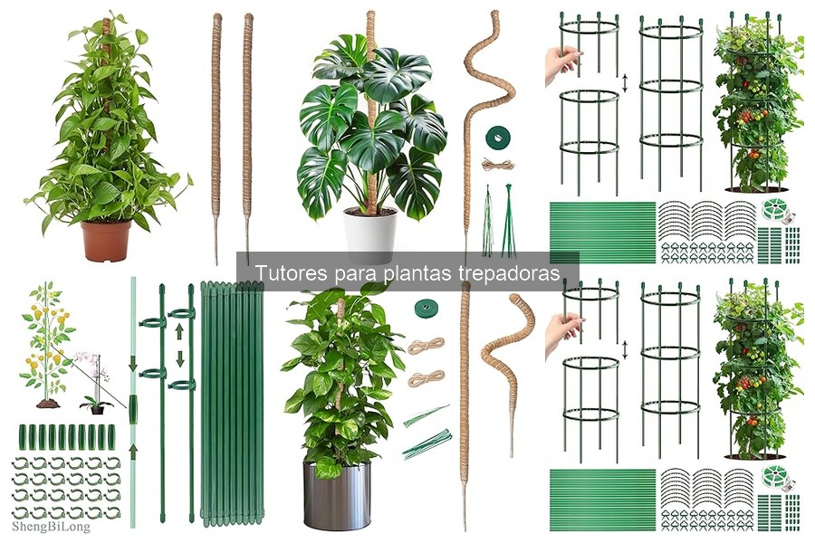 Soluciones si tu planta no se adapta al tutor