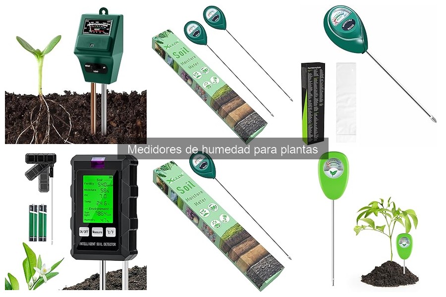¿Son precisos los medidores de humedad para plantas?