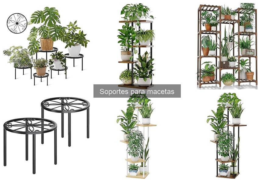 Soportes para macetas: ¿Influyen en el crecimiento de las plantas?