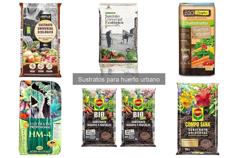 Sustratos ideales para cultivos de raíz en tu huerto urbano