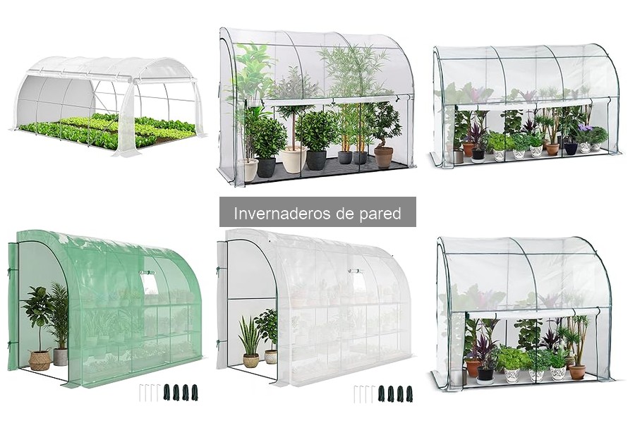 Testimonios de Usuarios de Invernaderos de Pared