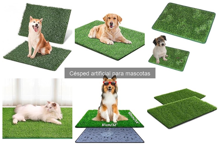 Testimonios sobre césped artificial para mascotas: opiniones reales