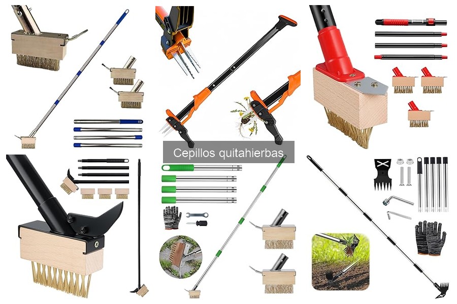 Tipos de cepillos quitahierbas para un jardín sin malas hierbas
