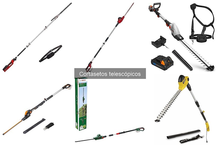 Tipos de Cortasetos Telescópicos: Guía Completa