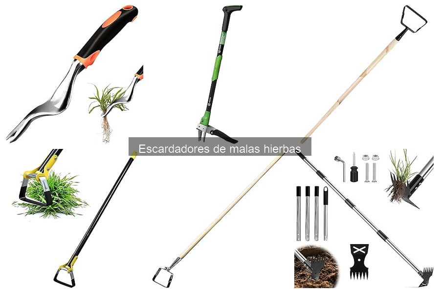 Tipos de escardadores de malas hierbas: guía completa