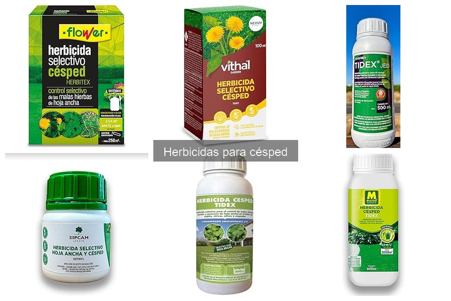 Tipos de herbicidas para césped y sus características