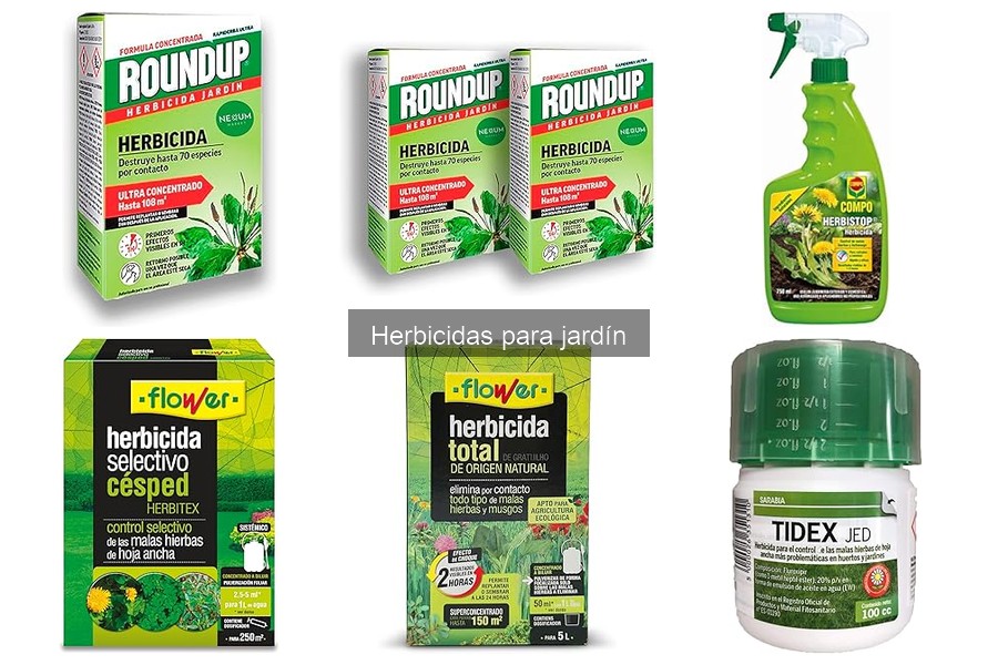 Tipos de herbicidas para jardín: ¡Encuentra el adecuado!