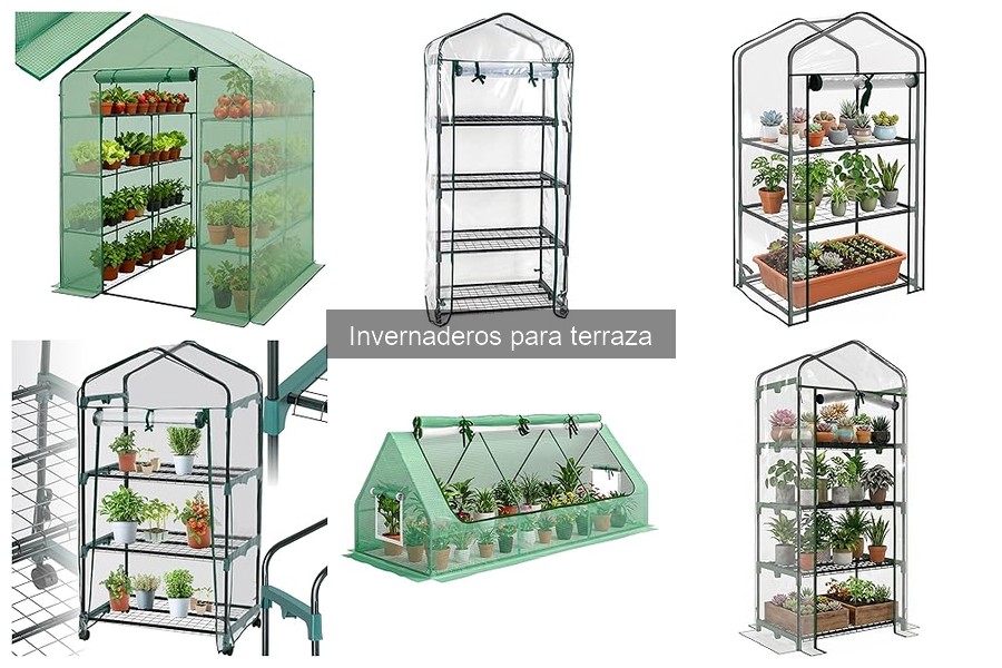 Tipos de Invernaderos para Terraza: Guía Completa