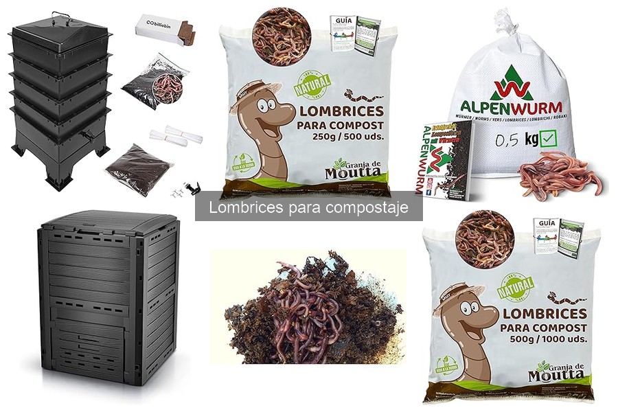 Tipos de lombrices para compostaje: beneficios y características