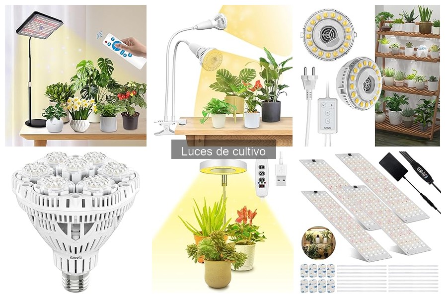 Tipos de luces de cultivo: LED, fluorescentes y más