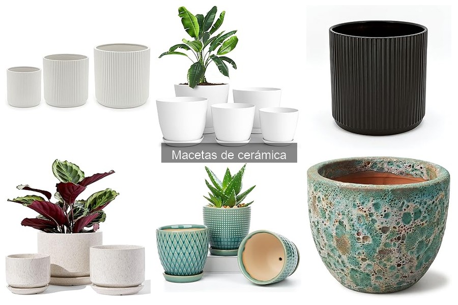 Tipos de macetas de cerámica y su uso en jardinería
