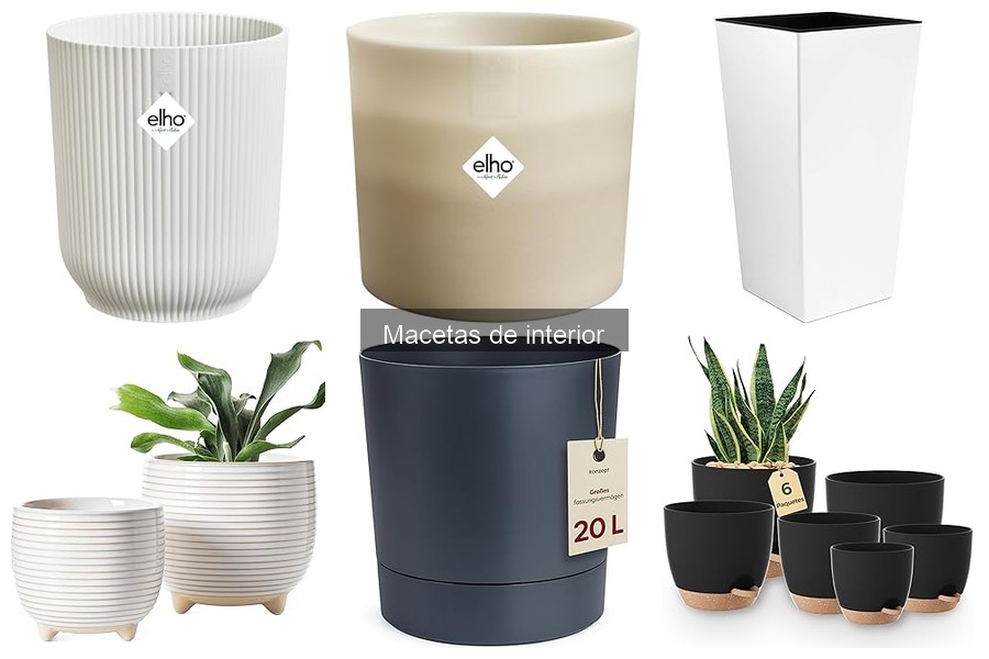 Tipos de macetas de interior: materiales y diseños