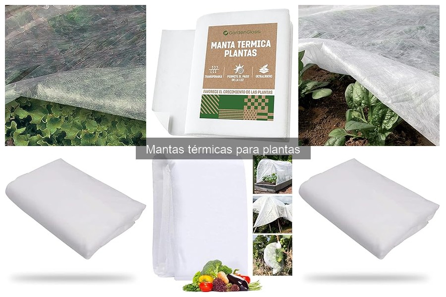 Tipos de mantas térmicas para plantas y sus características
