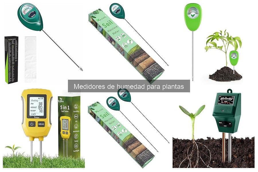 Tipos de medidores de humedad para plantas: Guía completa