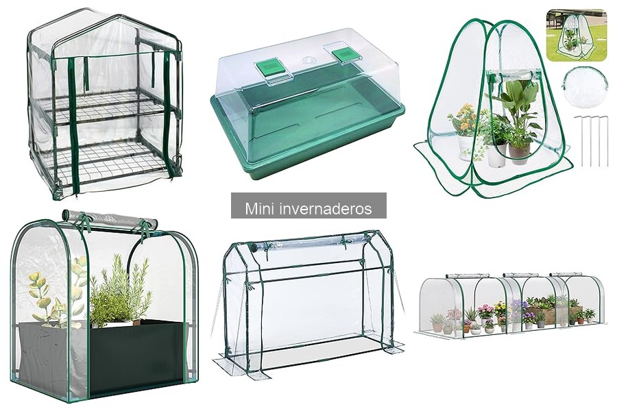 Tipos de Mini Invernaderos: Guía Completa para tu Hogar