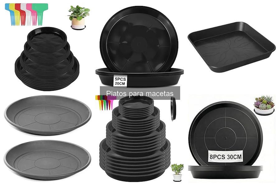 Tipos de platos para macetas: materiales y usos