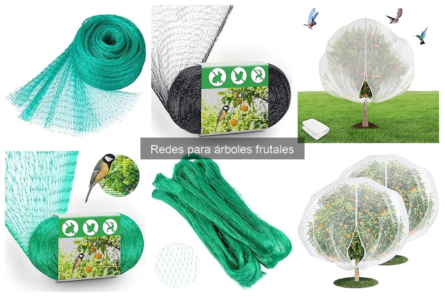 Tipos de redes para árboles frutales: ¡Protege tu cosecha!