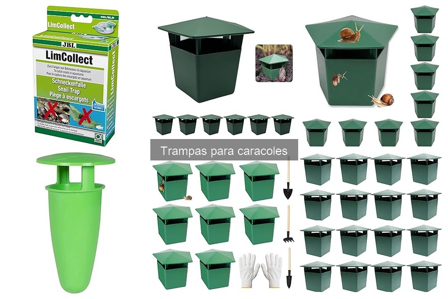 Tipos de trampas para caracoles: ventajas y desventajas