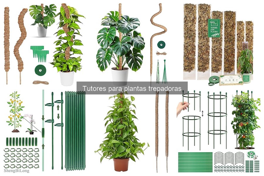 Tipos de tutores para plantas trepadoras: guía completa