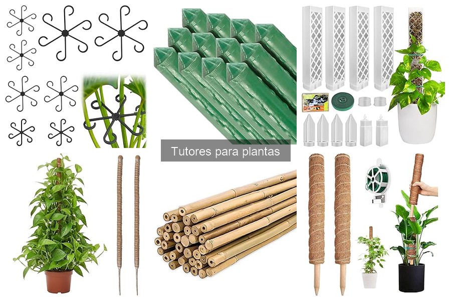 Tipos de tutores para plantas: usos y recomendaciones