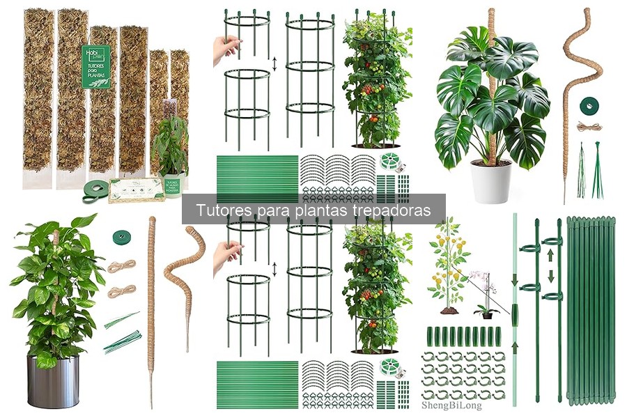 Tutores para Plantas Trepadoras: Guía y Características