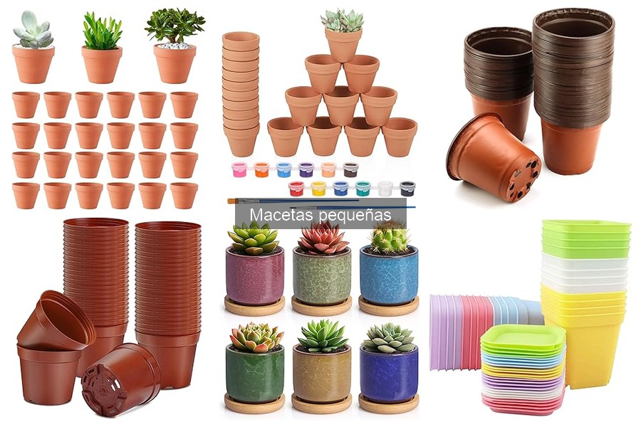 Uso adecuado de macetas pequeñas para tus plantas