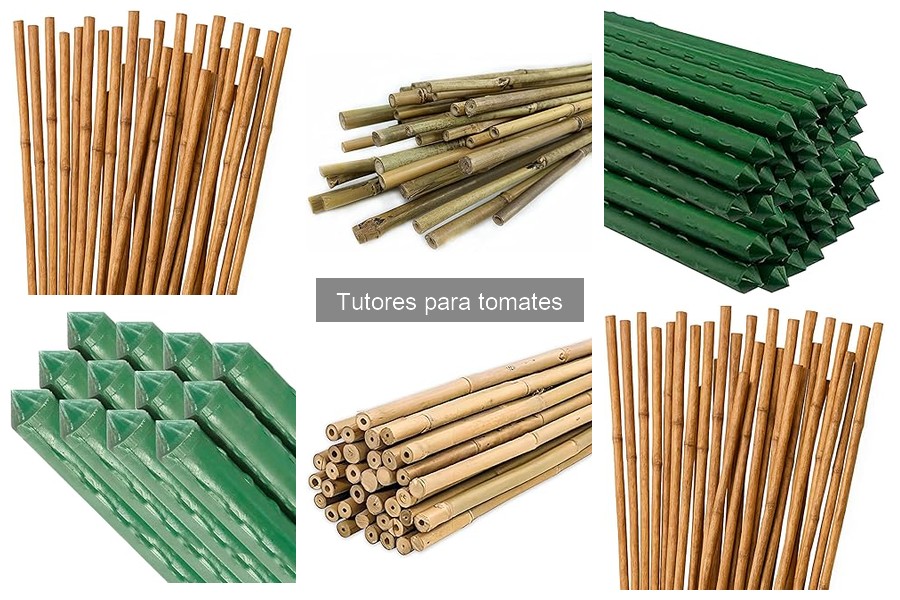 Ventajas de usar tutores para tomates en tu huerto