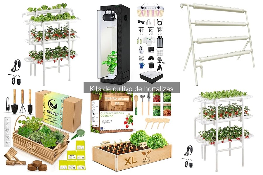 Ventajas de usar un kit de cultivo de hortalizas en casa