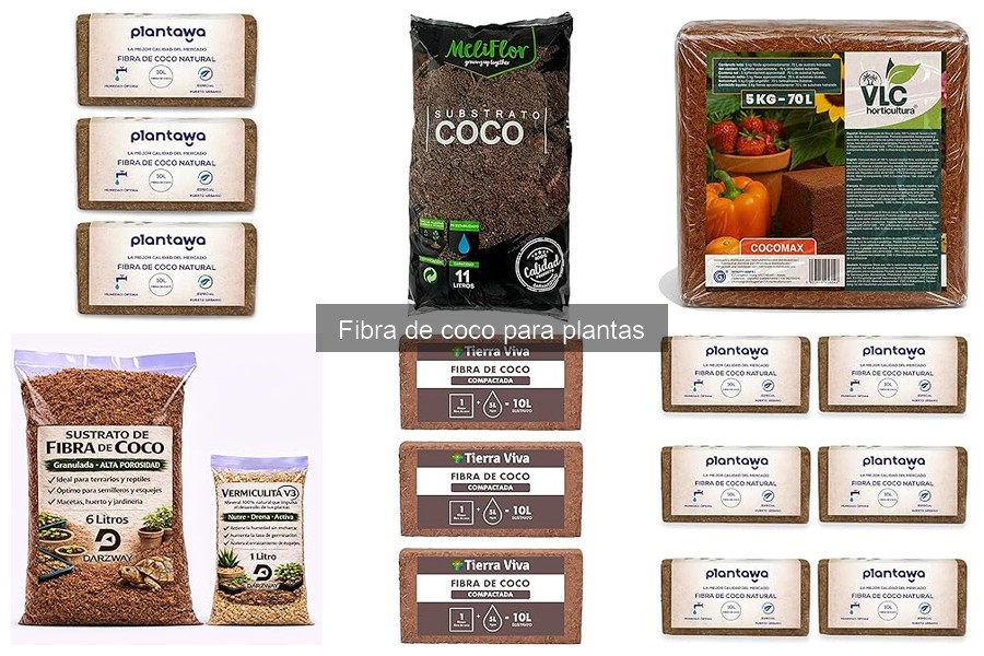Ventajas y desventajas de la fibra de coco en jardinería