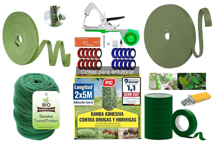 Ventajas y desventajas de las cintas para entutorar