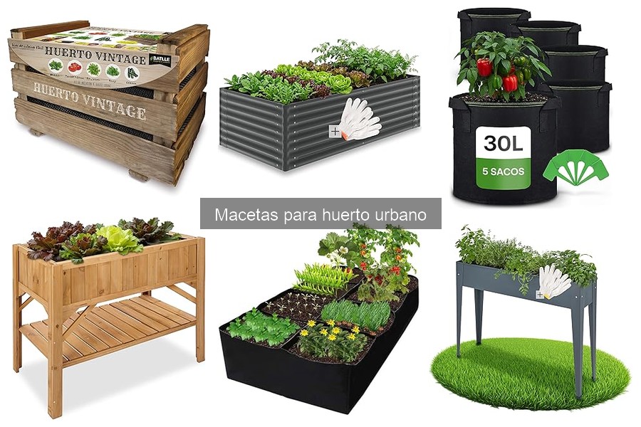 Ventajas y desventajas de las macetas auto-riego