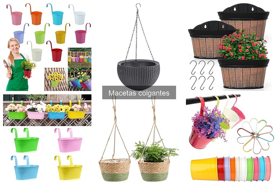 Ventajas y Desventajas de las Macetas Colgantes en Jardinería