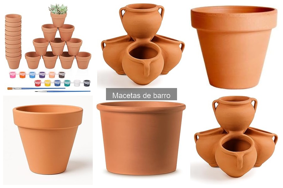 Ventajas y desventajas de las macetas de barro