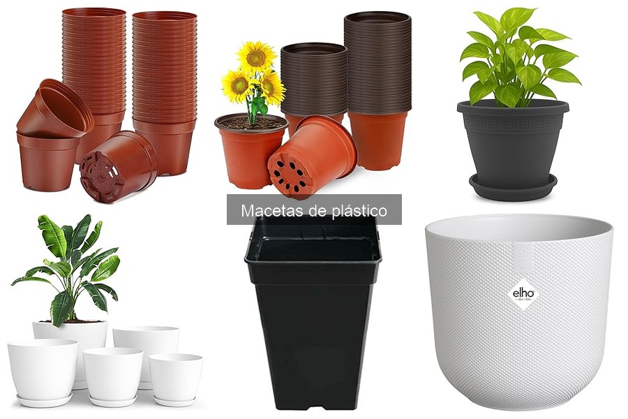 Ventajas y Desventajas de las Macetas de Plástico