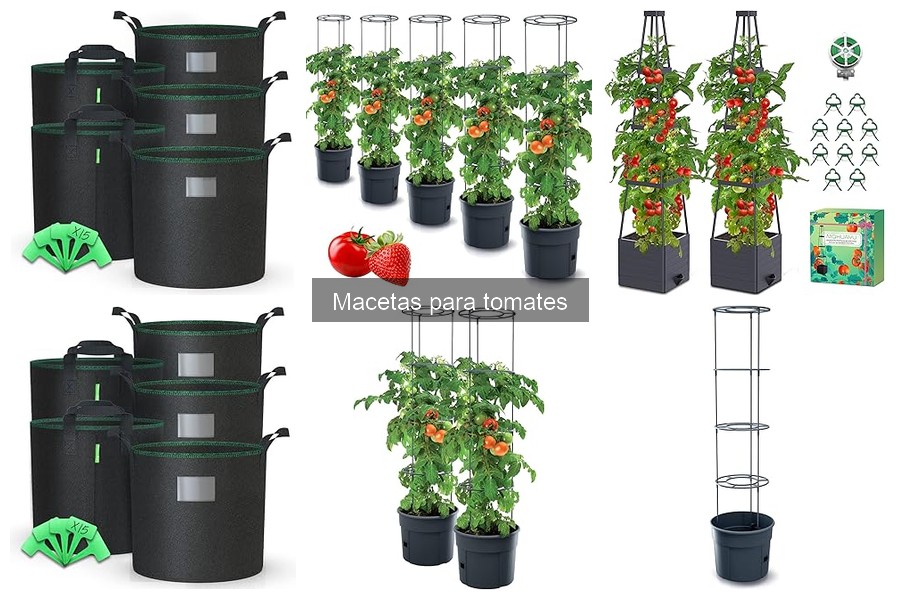 Ventajas y desventajas de las macetas para tomates