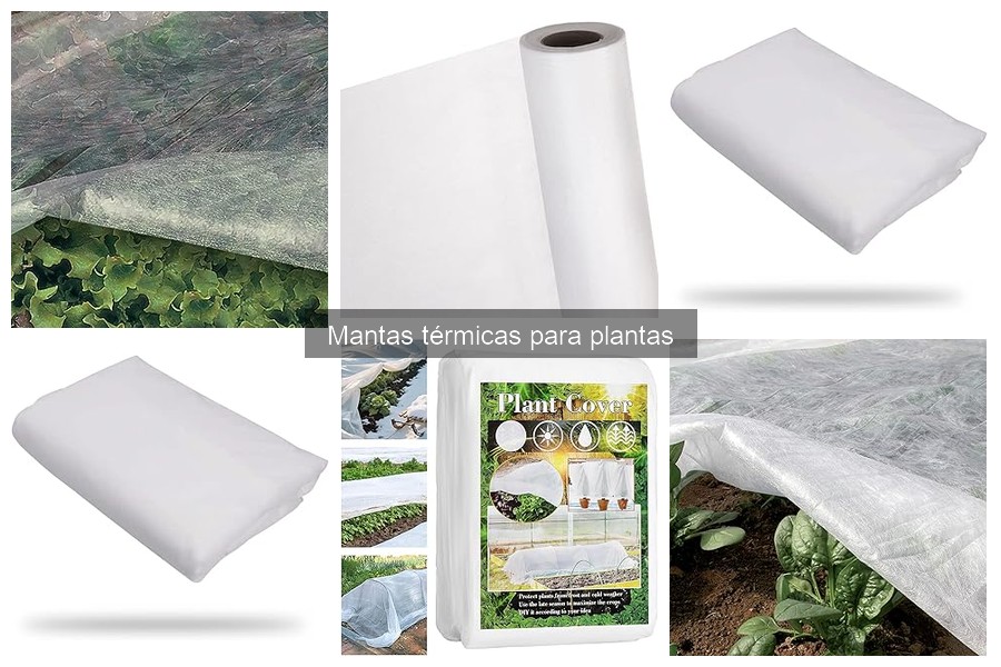 Ventajas y desventajas de las mantas térmicas para plantas