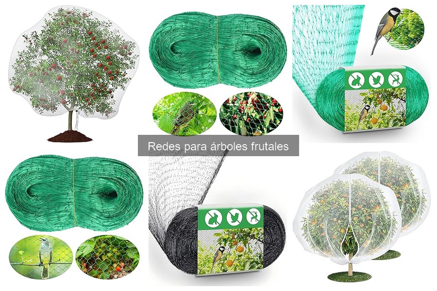 Ventajas y desventajas de las redes para árboles frutales