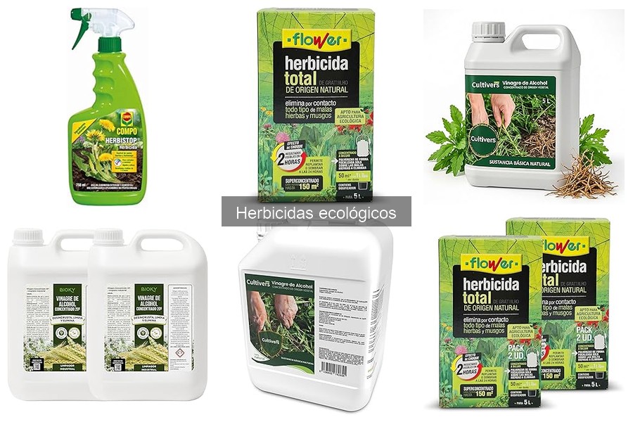 Ventajas y desventajas de los herbicidas ecológicos