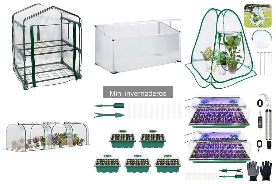 Ventajas y Desventajas de los Mini Invernaderos