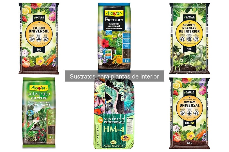 Ventajas y desventajas de los sustratos para plantas de interior