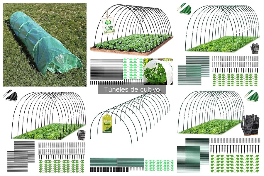 Ventajas y desventajas de los túneles de cultivo