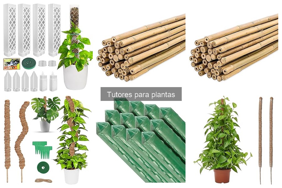 Ventajas y Desventajas de los Tutores para Plantas