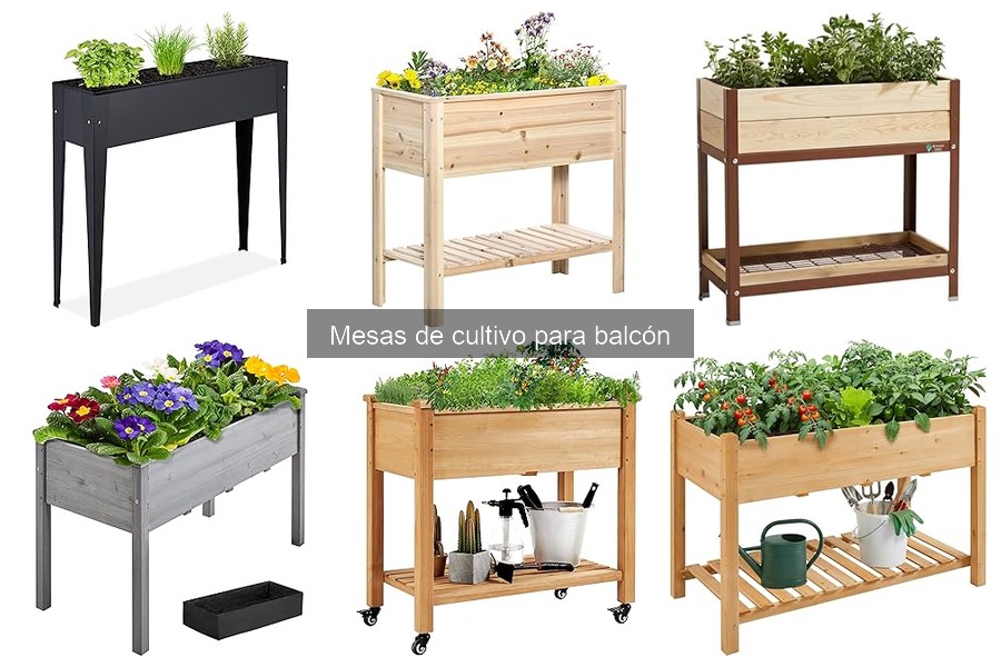 Ventajas y desventajas de mesas de cultivo para balcón