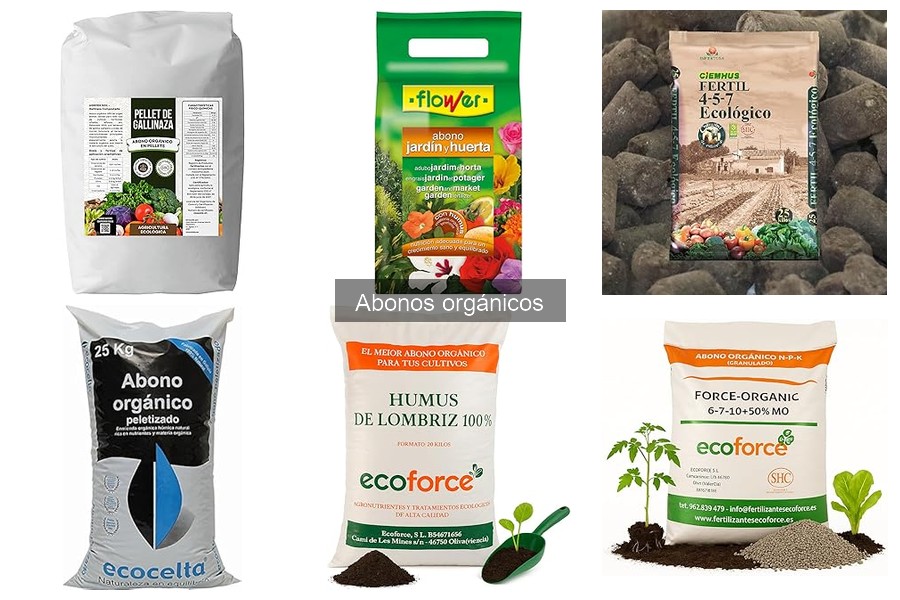 Ventajas y Desventajas de Usar Abonos Orgánicos en Jardinería