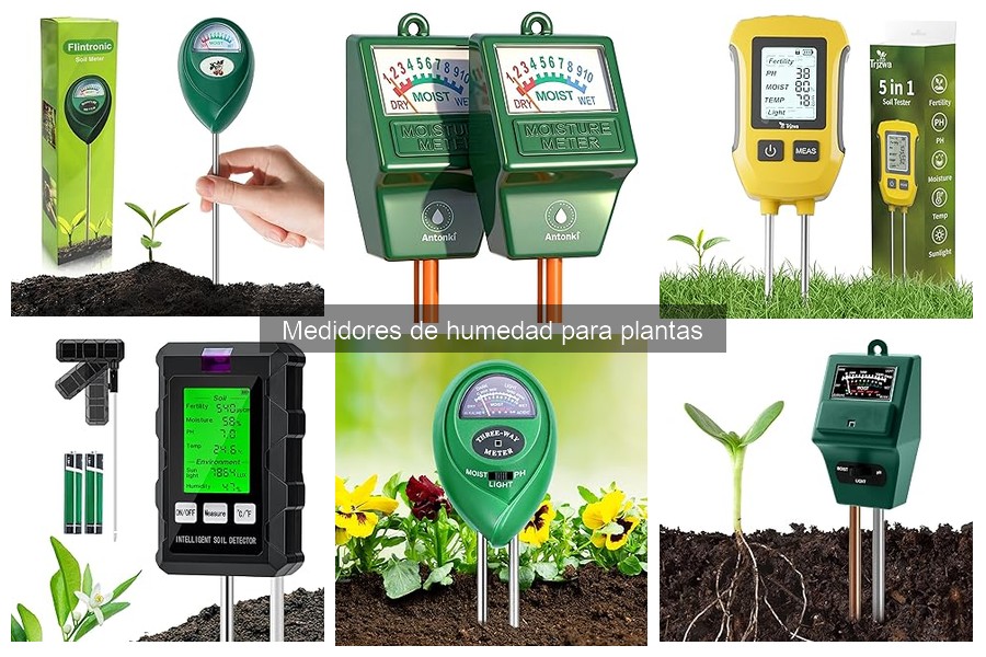 Ventajas y desventajas de usar medidores de humedad para plantas