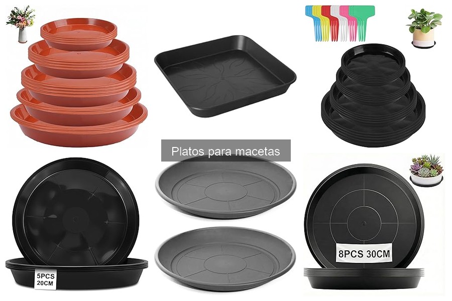 Ventajas y Desventajas de Usar Platos para Macetas