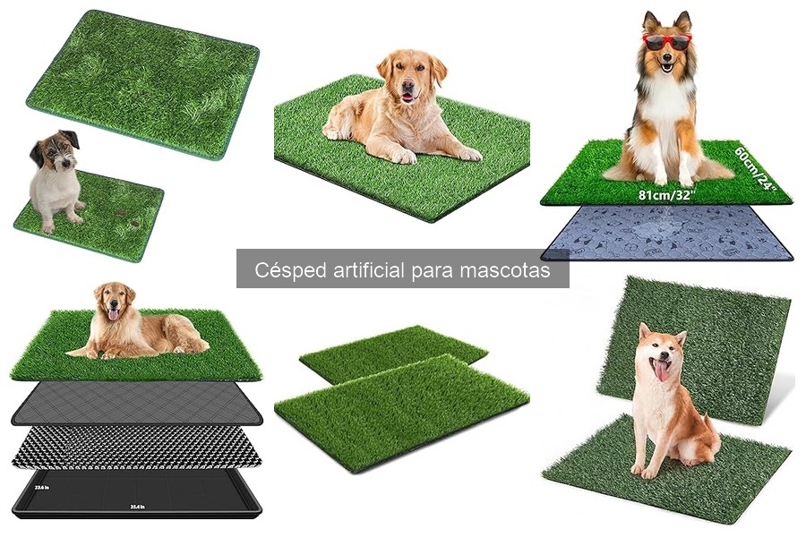 Ventajas y Desventajas del Césped Artificial para Mascotas