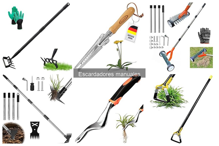 Ventajas y desventajas del escardador manual en jardinería